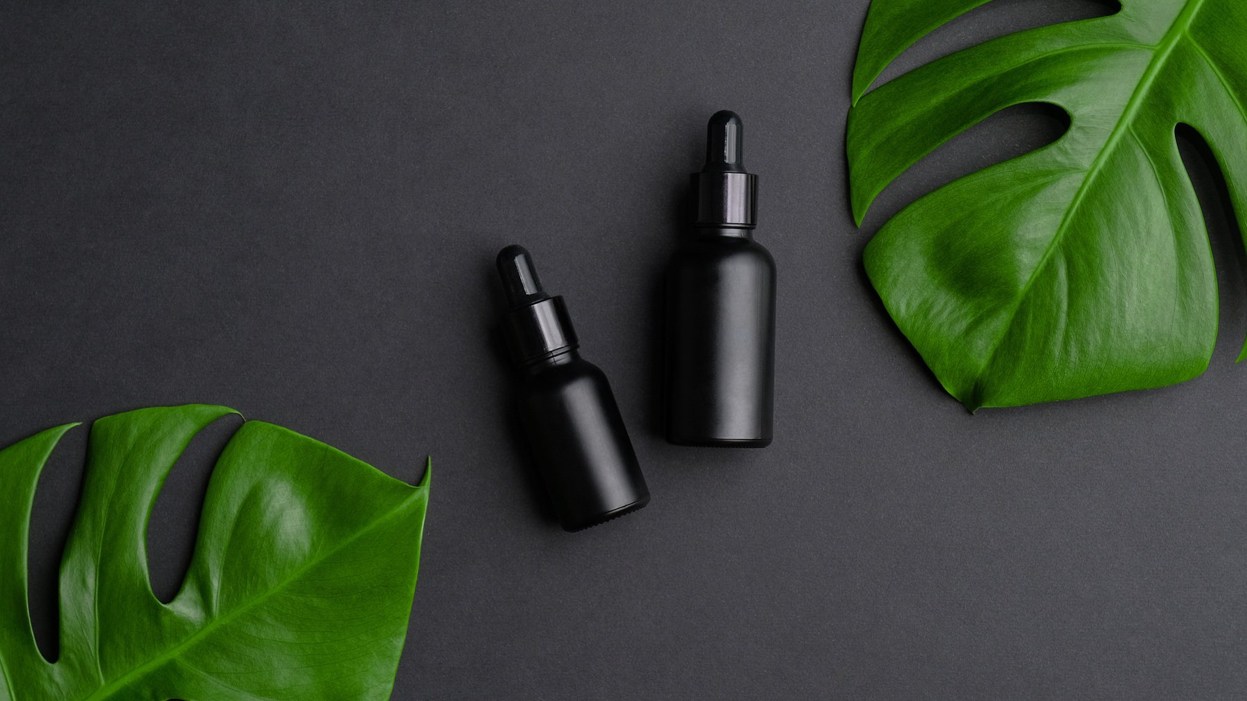 Black Serum Bottles and Monstera Palm Leaves on Black Background