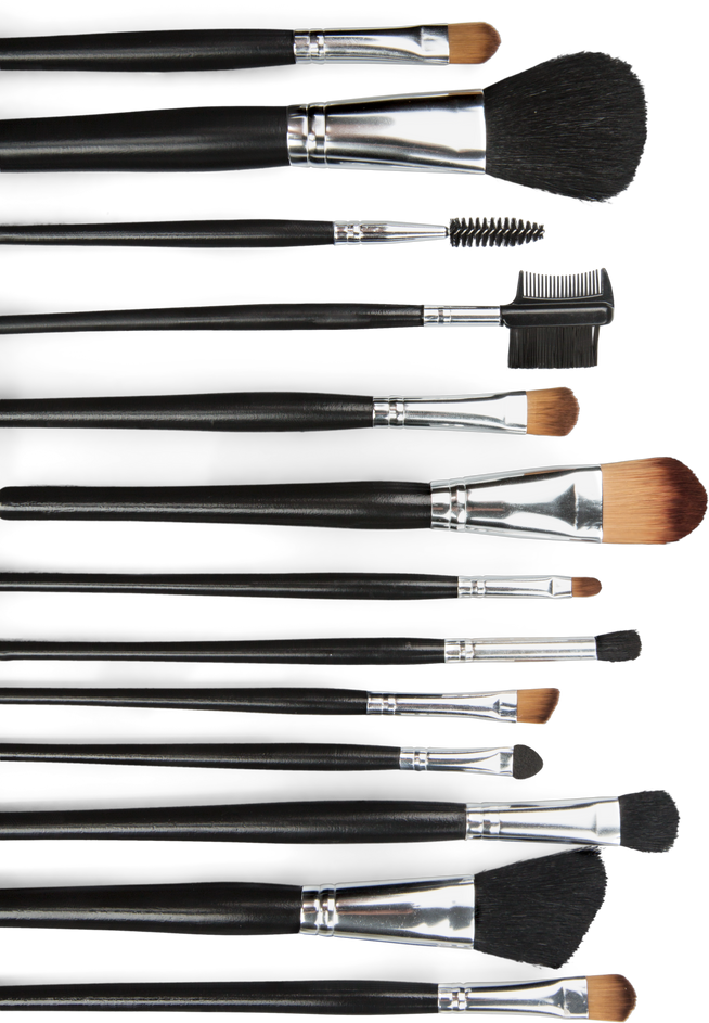 Variety of Makeup Brushes